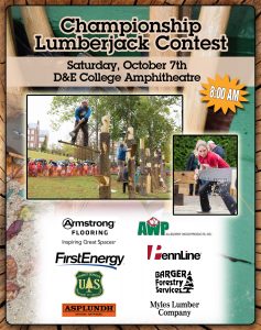 Mountain State Forest Festival Lumberjack Contest